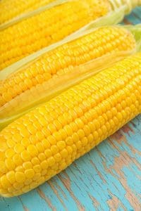 Jaką kukurydze wybrać