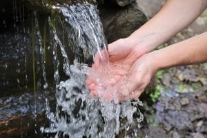 Oszczędzanie wody natura